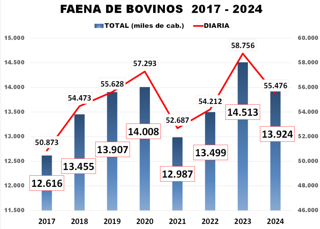 Faena y Producción Carne Bovina – Año 2024
