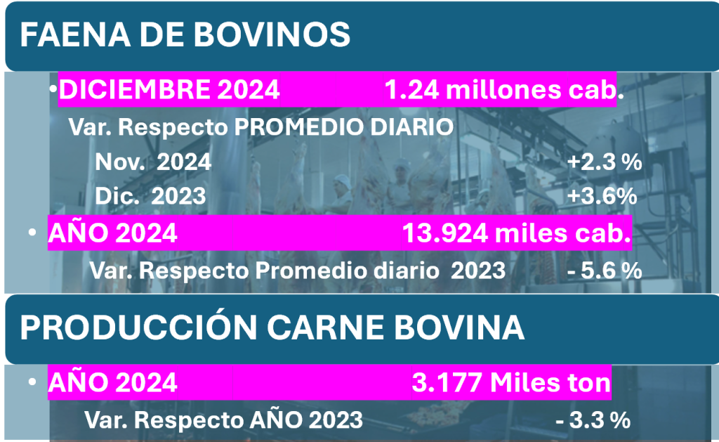 Faena cerró el año 2024 con un nivel alto