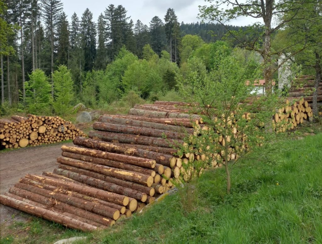 Exportación UE: predios libres de deforestación