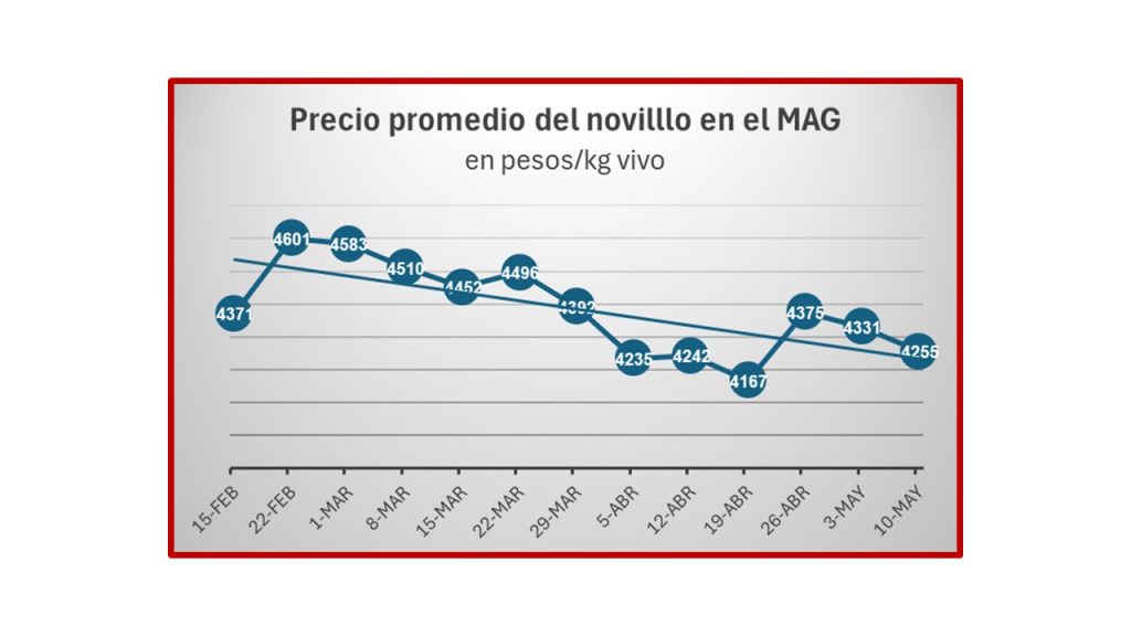 Precio del novillo