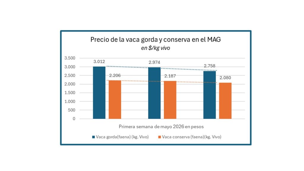 Precios de la semana: indice de novillo para arrendamiento, novillo, novillito…